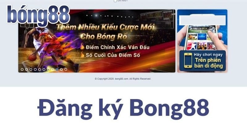 Các bước chi tiết